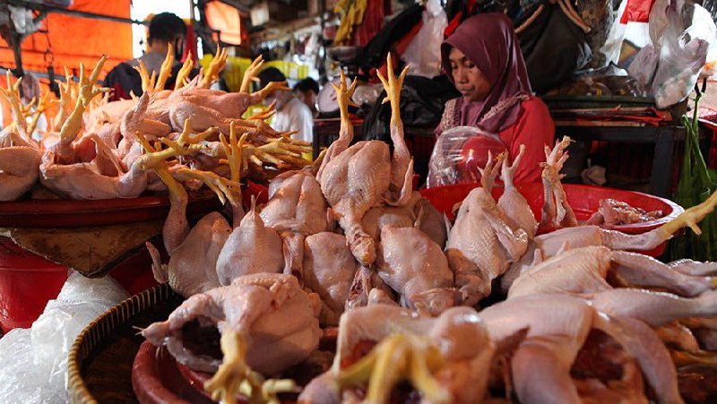 Harga Ayam Ras Naik Secara Nasional, Dua Daerah di Riau Ikut Terdampak