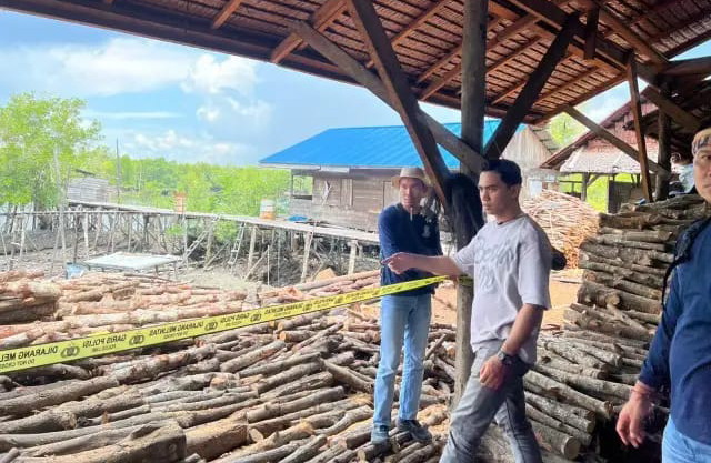 Polda Riau Bongkar Perusakan Hutan Mangrove di Meranti , Tiga Pelaku Diamankan