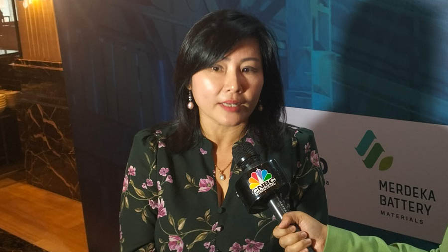 Ini Penyebab BUMN Sakit dan Langganan Merugi: Kebanyakan Anak Perusahaan!