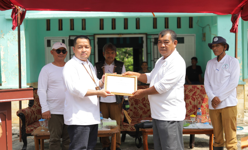 Penanaman Mangrove 1050 Pohon Didesa Mekong Kecamatan Tebingtinggi Barat