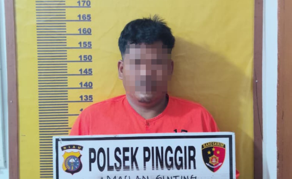 Diduga Cabuli Ponakan, Paman di Pinggir Bengkalis Dipolisikan