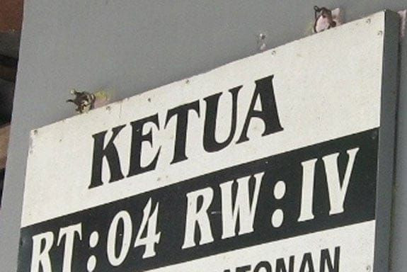 Pemko Pekanbaru Utus ASN ke Lingkungan RW, Ini Tugasnya