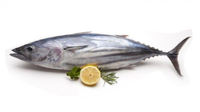 Manfaat Kesehatan Mengonsumsi Ikan Tongkol