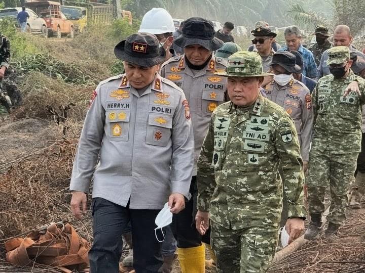 3.391 Hektare Lahan di Riau Hangus, Polisi Sudah Tetapkan 63 Tersangka Karhutla