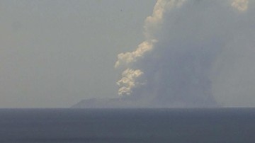 Gunung Berapi di Selandia Baru Meletus, Satu Orang Kritis