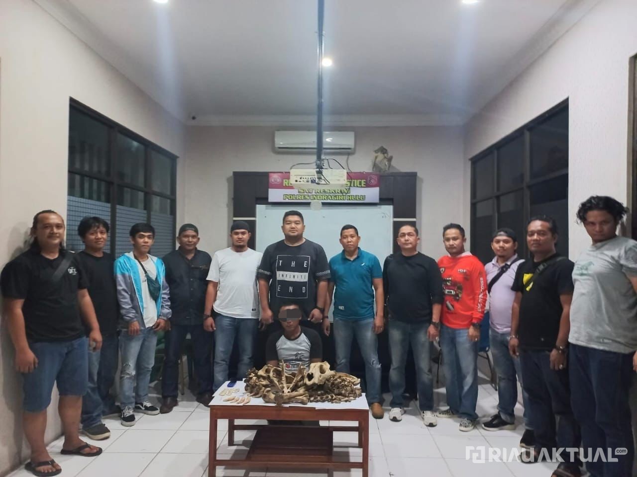 Nyamar Jadi Pembeli, Polres Inhu Tangkap Pelaku Penjual Tulang Harimau Sumatra