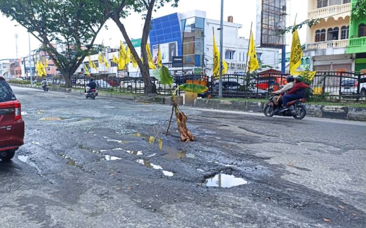 Kesal Tak Kunjung Diperbaiki, Warga Tanam Pohon Pisang di Jalan Sudirman Pekanbaru