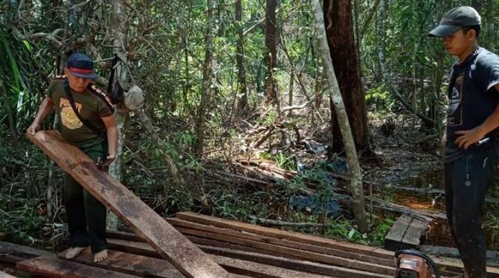 BBKSDA Riau Temukan Jalur Ilog Masih Aktif di Dumai, Tapi Pelaku Terlanjur Kabur