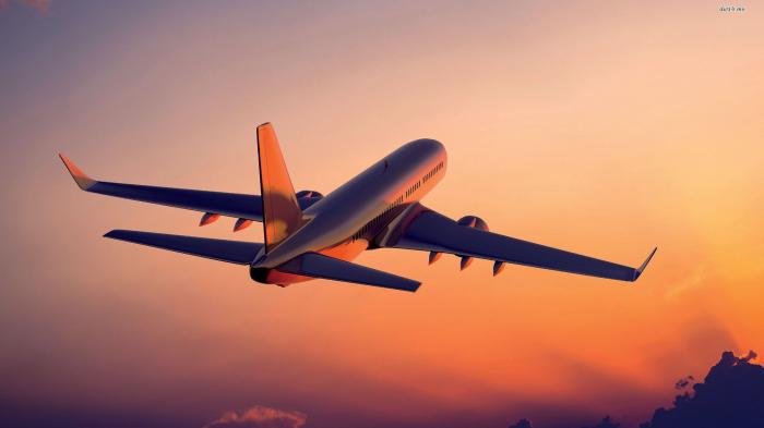 Pesawat Kargo Australia Kelewatan Bandara Karena Pilot Tidur