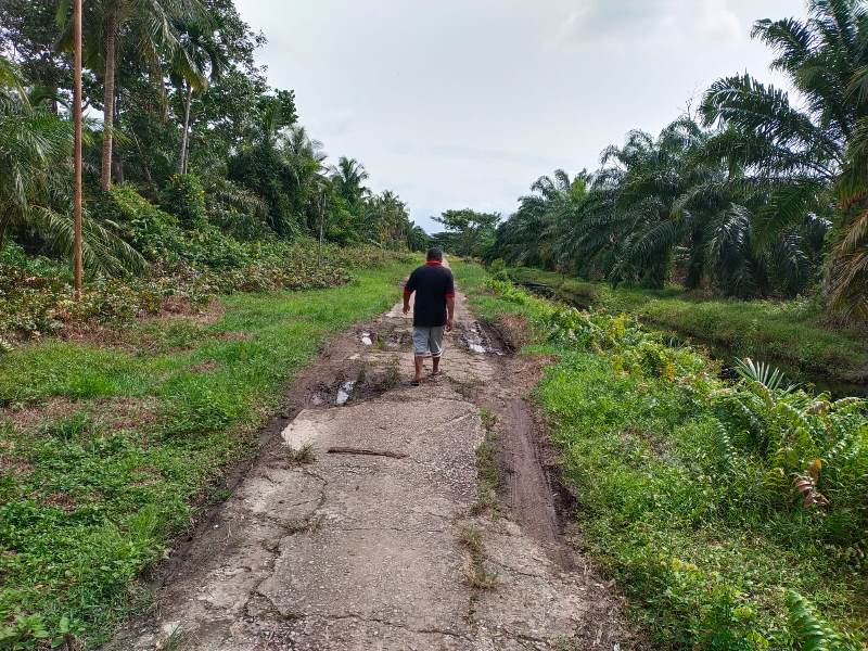 Warga Bantan Sari Minta Jalan Terubuk Ditembuskan ke Desa Pematang Duku