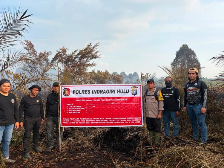 Buang Puntung Rokok 5 Hektare Lahan Sawit Terbakar Polisi Inhu Tangkap Pengangkut Sawit
