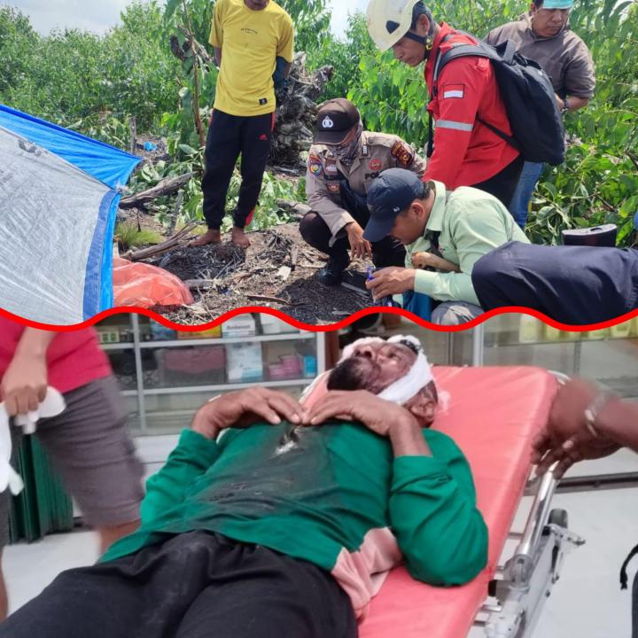 Lagi Tidur dalam Camp, Pekerja PT Arara Abadi Diterkam Harimau