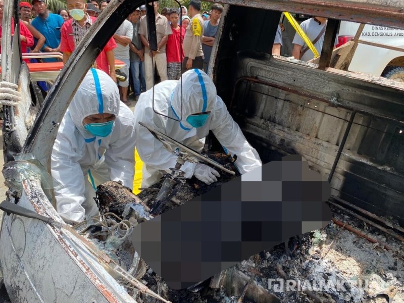 Pengemudi Pickup Ditemukan Tewas Terbakar di Bengkalis Ternyata Korban Pembunuhan