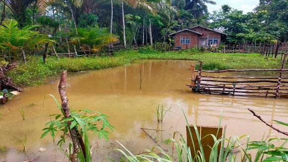 Nasib Malang Dua Balita Sekawan di Kuansing, Tewas Tenggelam di Kolam
