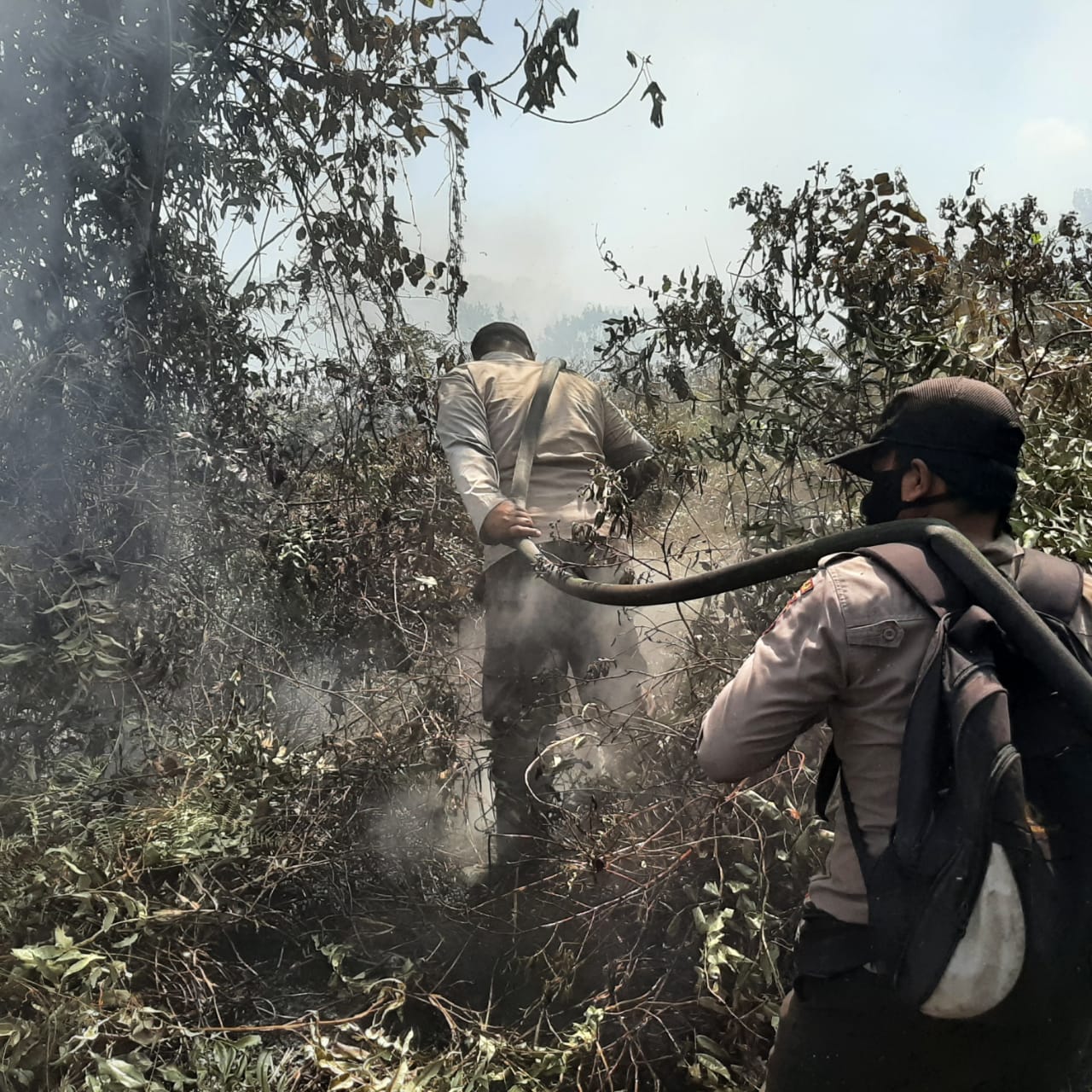 Sudah 248 Ha Lahan Terbakar di Riau Sejak awal Januari 2021