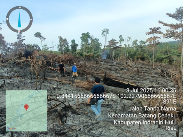 Bakar Satu Hektare Lahan untuk Kebun, Pria di Inhu Ditangkap Polisi