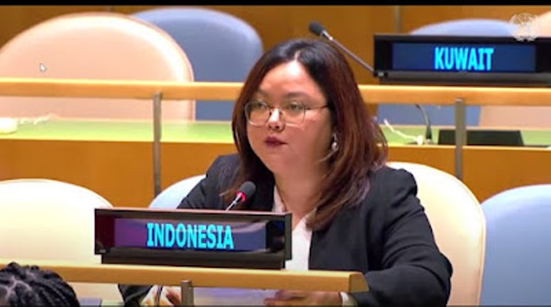 Vanuatu Lagi-lagi Serang soal HAM Papua, Indonesia Beri Jawaban Menohok