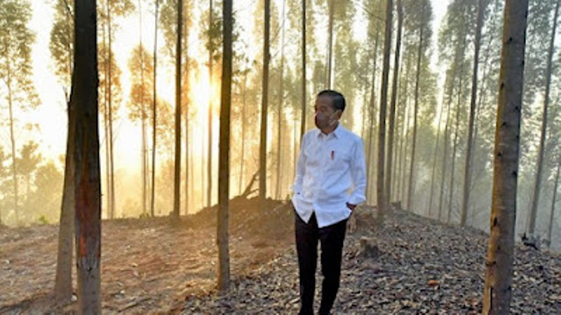 Senior PDIP Ungkap 4 Menteri Nyatakan Mau Maju Pilpres ke Jokowi