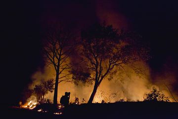 Kebakaran Hutan, WNI Diimbau Tinggalkan Daerah Australia