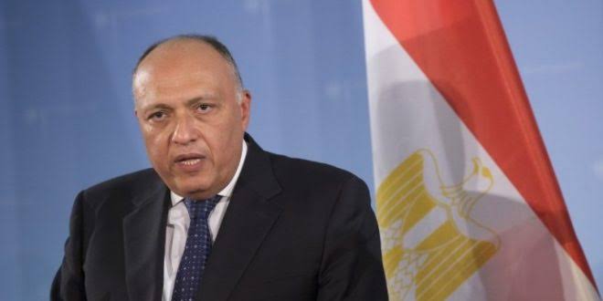 Menlu Mesir Sebut Kemungkinan Kirim Pasukan Koalisi Arab ke Suriah