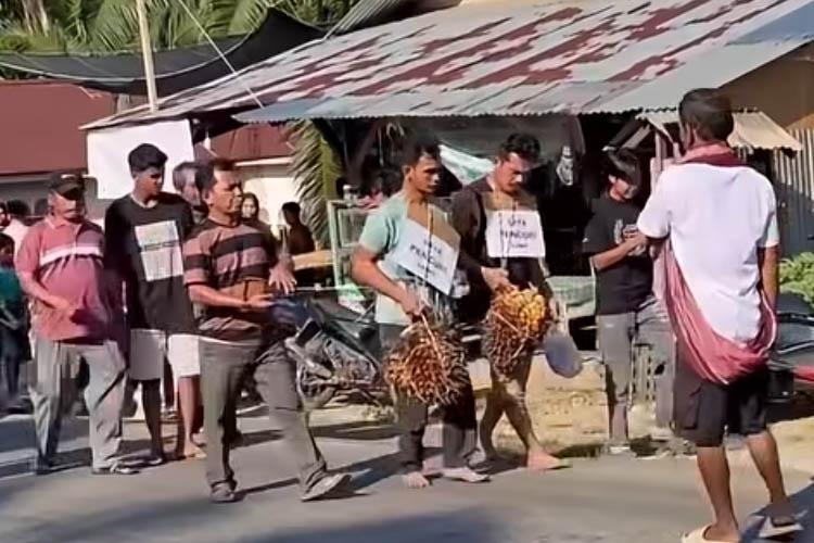 Kalung Sawit Jadi Hukuman Dadakan, Dua Pria Digiring Warga ke Polsek Tambusai
