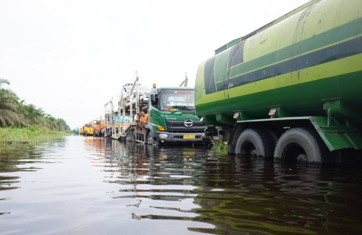 Jalintim di Pelalawan Terendam Banjir, Gubri Usulkan Peningkatan ke Pusat