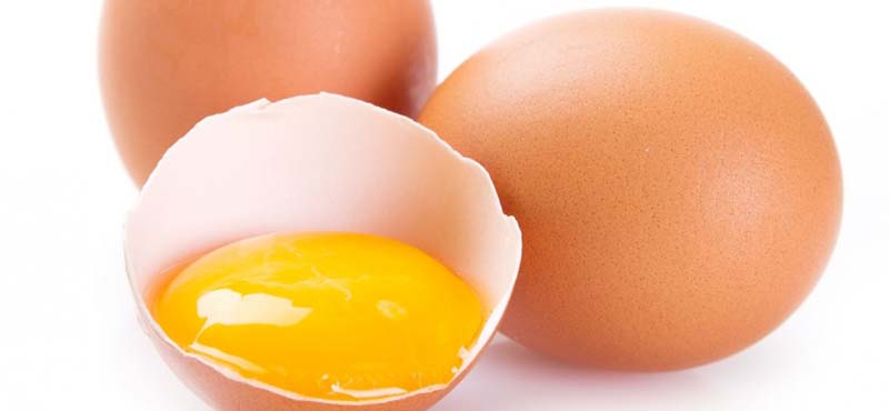 Kebanyakan Makan Telur? Ini Hasil Penelitian Ahli Gizi