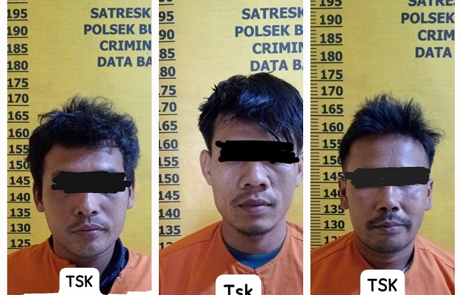 Beraksi Dini Hari, 3 Pencuri Buah Sawit Ditangkap Polsek Bunut