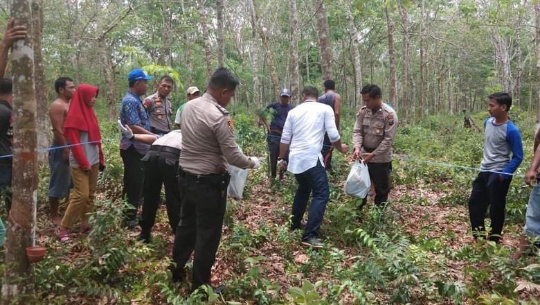 Potongan Kerangka Manusia Ditemukan di Kebun Karet Riau