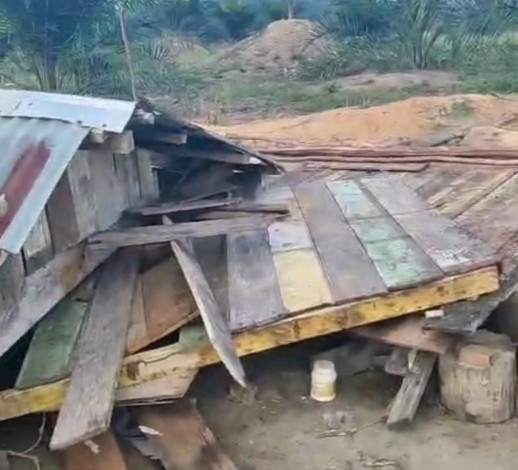 Gajah Mengamuk di Bengkalis, Satu Warga Tewas