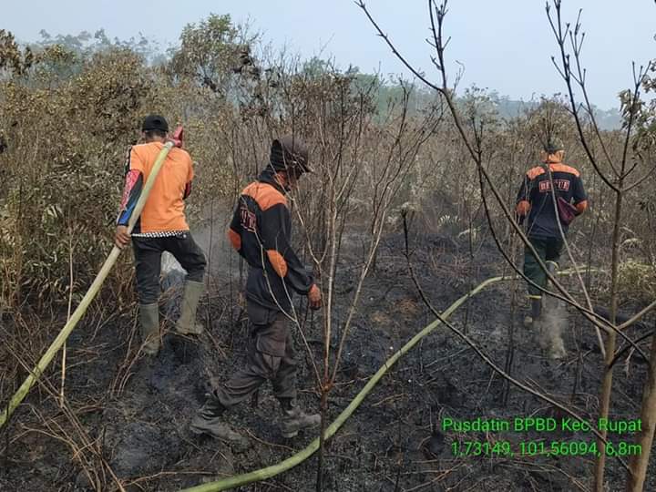 Karhutla Meluas, Warga Pulau Bengkalis Mulai Terganggu Kabut Asap