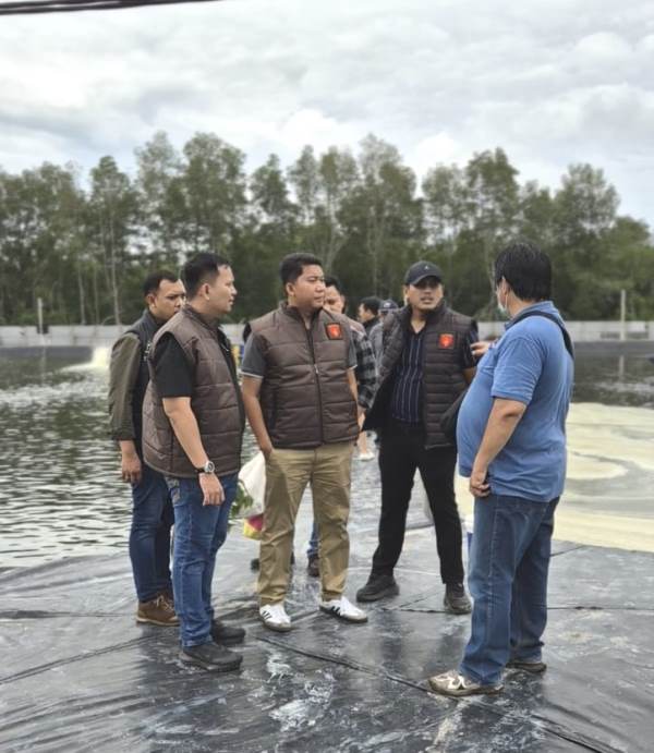 Mafia Tambak Udang, Penyidik Jaksa Usut Dugaan Korupsi Pengelolaan Tambak Udang di Kawasan Hutan