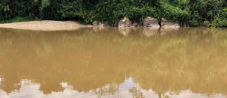 PETI di Kuansing Muncu lagi, Air Sungai Kuantan Kembali Keruh