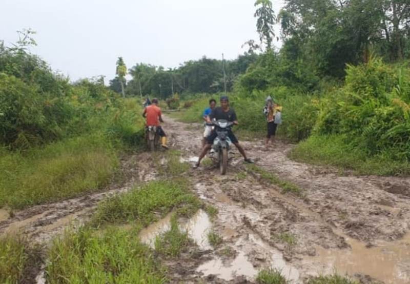 Jalan Utama Penghubung Dusun Hutan Samak Kurang Perhatian Pemerintah