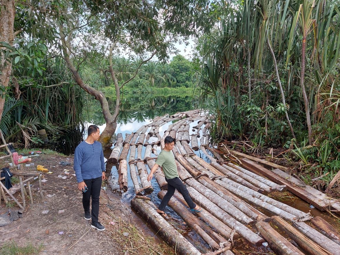 10 Ton Kayu Illegal Logging Diamankan Tim Dari Komplotan Mafia Kayu Mat Ali
