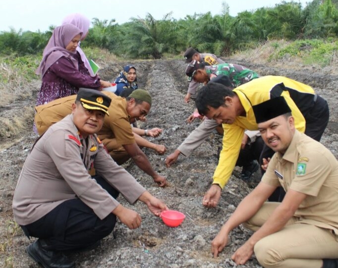 Program Ketahanan Pangan 2026, Dedi Syafrizal : Peluang Meningkatkan Produktifitas Pertanian