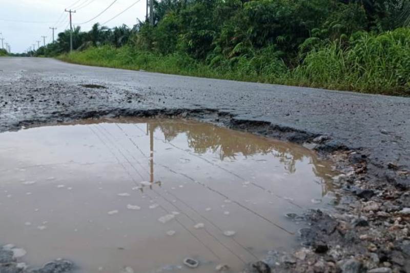 Jalan Provinsi di Bengkalis Berlubang, Kadis PUPR Langsung Perintahkan UPT Bergerak