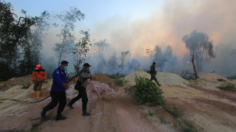 BMKG Pekanbaru: Ada 30 Titik Panas di Riau