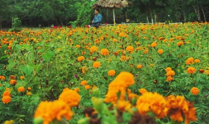 Sinergi PLN NP UP Tenayan dengan Masyarakat Sulap Lahan Tidur Okura Jadi Magnet Wisata Baru