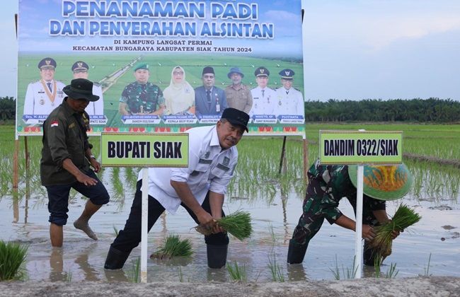 Siak Target Cetak Sawah Baru 12.000 Hektare untuk Swasembada Pangan