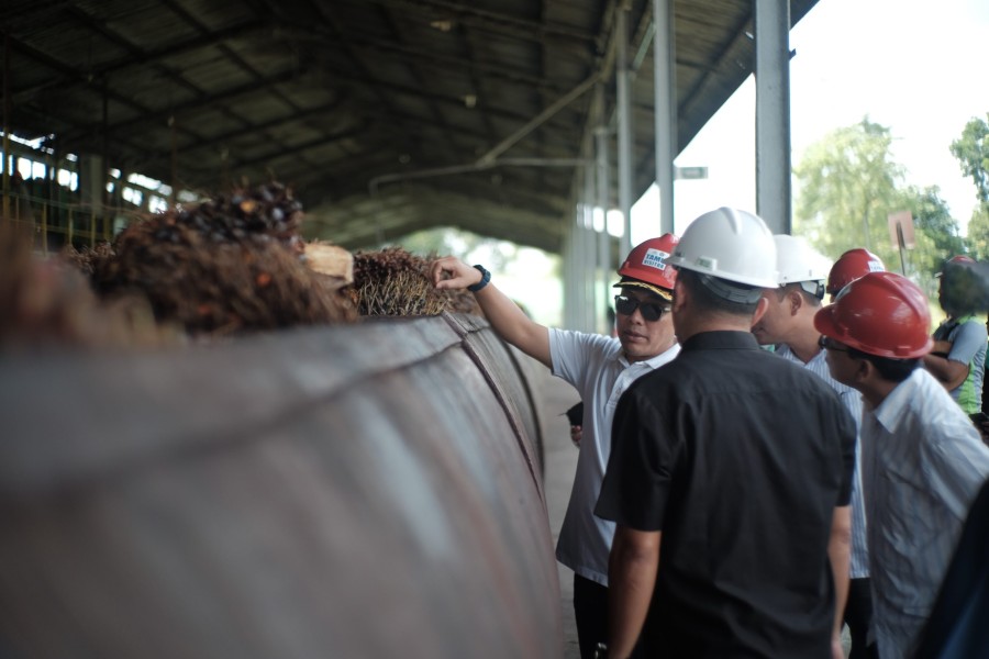 Sawit RI Naik Daun, Hilirisasi dan Bioenergi Jadi Andalan Baru