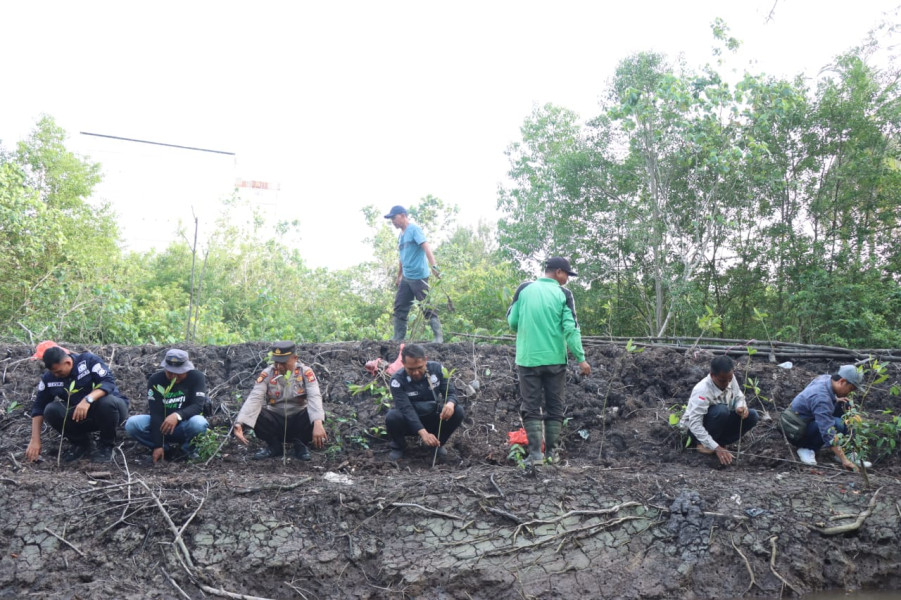 Polres Meranti dan Insan Pers Tanam Mangrove di Desa Gogok Darussalam