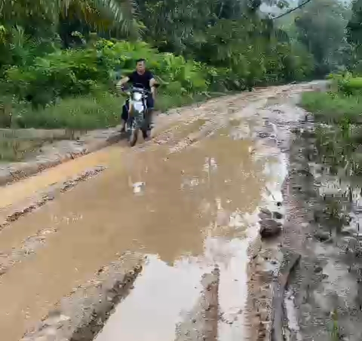 Tanpa Pengawalan, Bupati Kuansing Tinjau Jalan Ketaping Jaya - Pulau Jambu