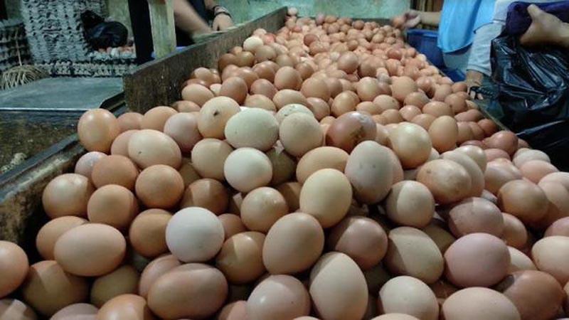 Harga Telur Masih Tinggi, Warga: Naiknya Melebihi Saat Lebaran