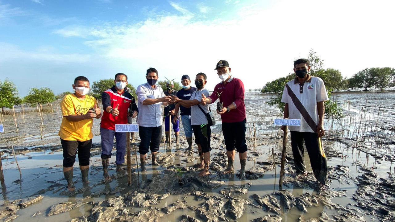 Tanam Mangrove di Pesisir Pantai, DKP Riau Dukung Bengkalis Hijau