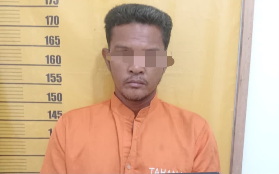Bakar Kayu, Pria di Tambang Kampar Malah Bikin Lahan Warga Terbakar