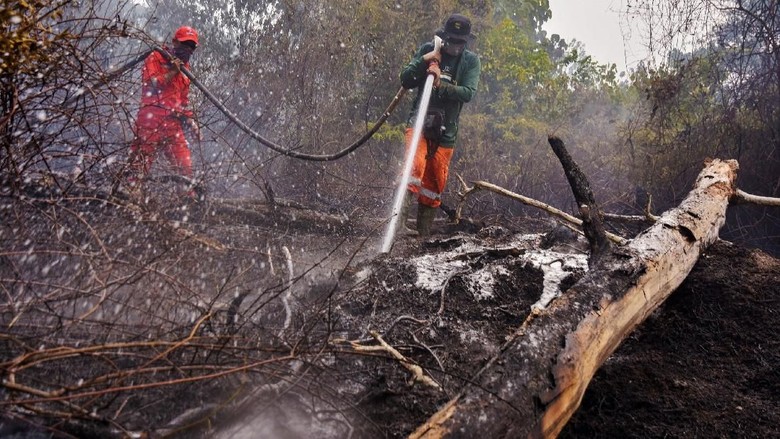 Pemprov Riau Cabut Status Darurat Pencemaran Udara Karhutla