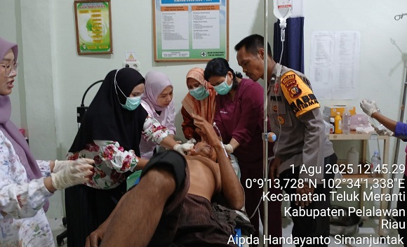 Harimau Serang Pekerja di Pelalawan, Korban Menderita Luka Parah