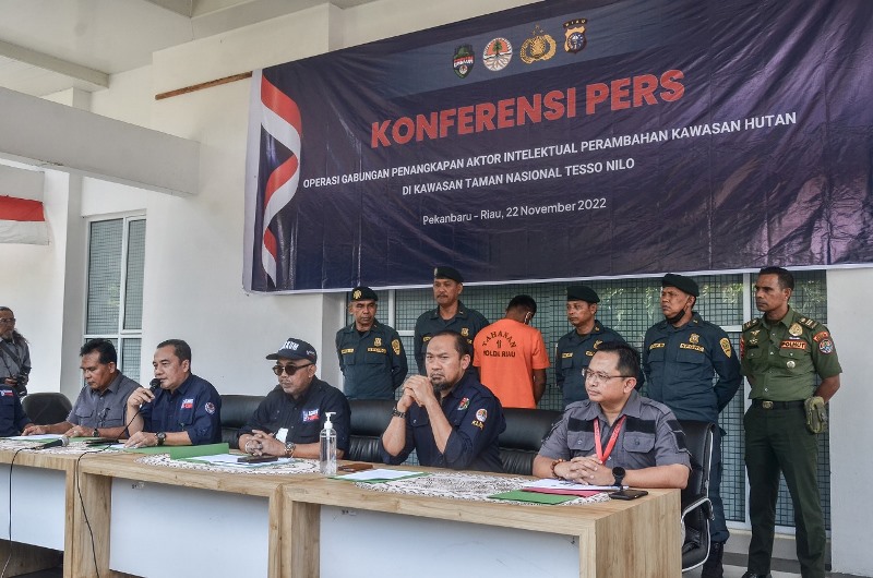 Buron  6 Bulan, Pemodal Perambahan TNTN Pelalawan Ditangkap Ditreskrimsus Polda Riau