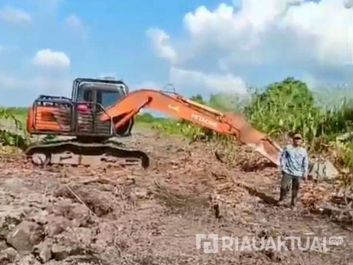 Polisi Amankan Dua Ekskavator dari Lokasi Dugaan Pembabatan Mangrove di Rohil
